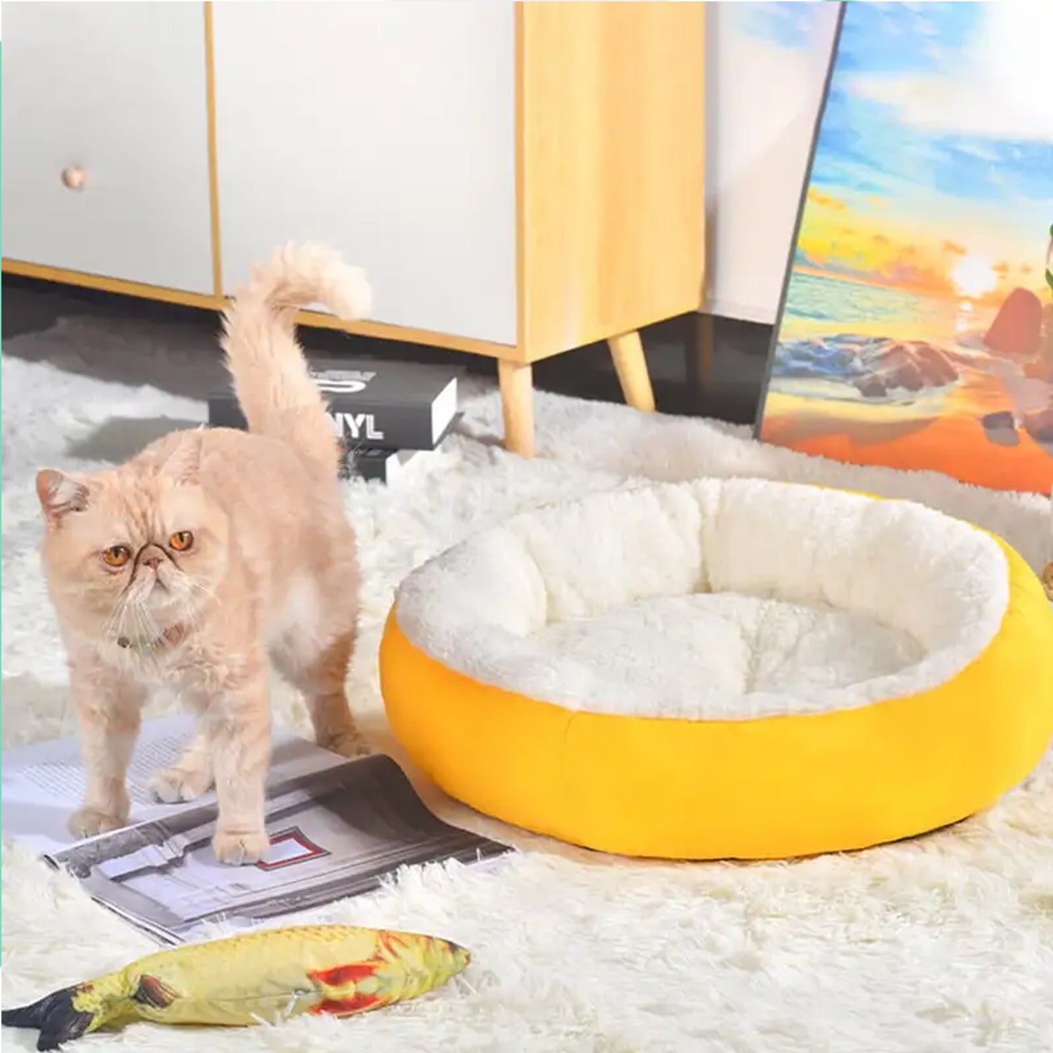 Pet Bed General Thickening Pet Mat (1 Pc Mix Design)