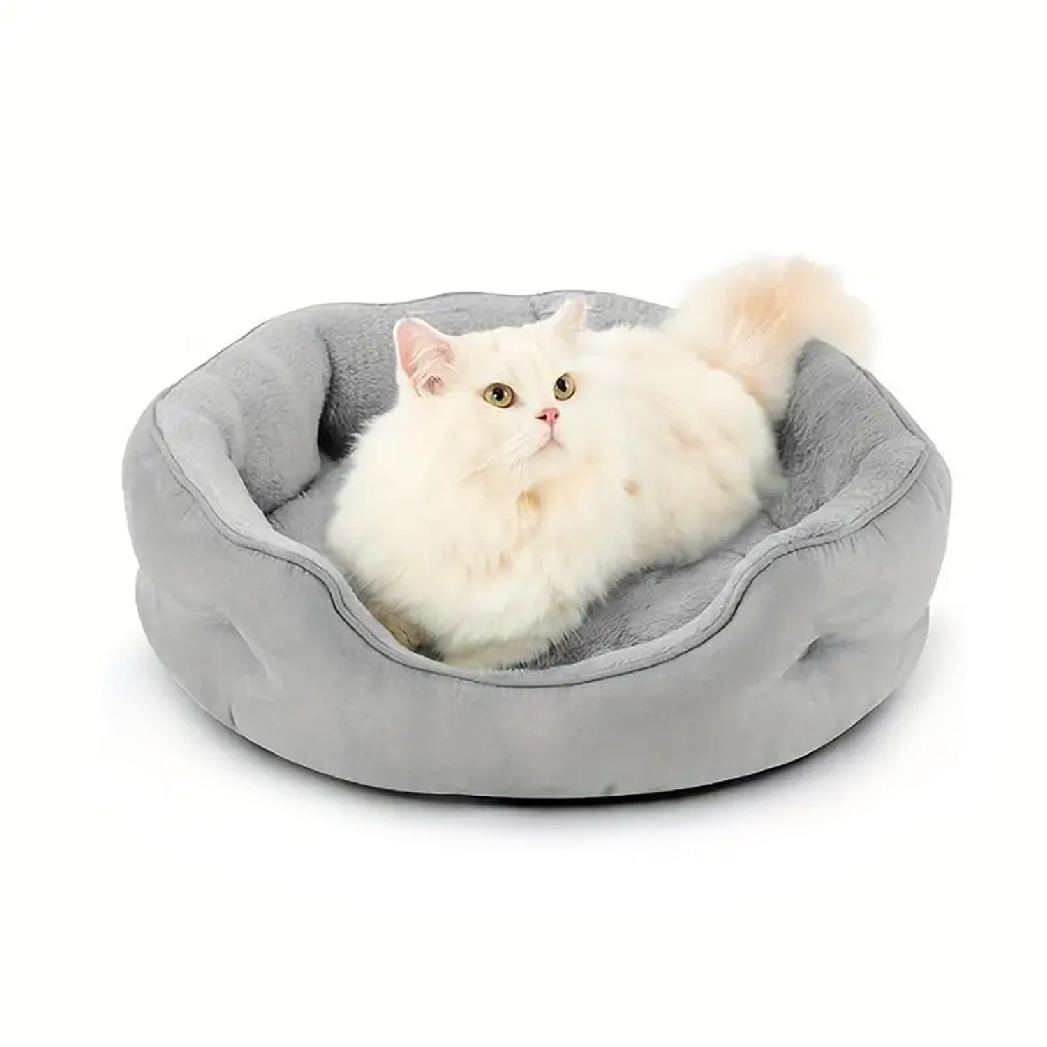 Pet Bed General Thickening Pet Mat (1 Pc Mix Design)